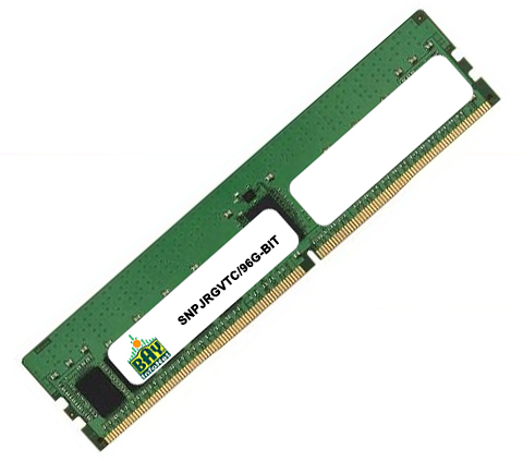 SNPJRGVTC/96G-BIT