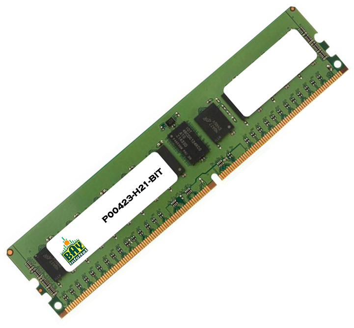 P00423-H21-BIT
